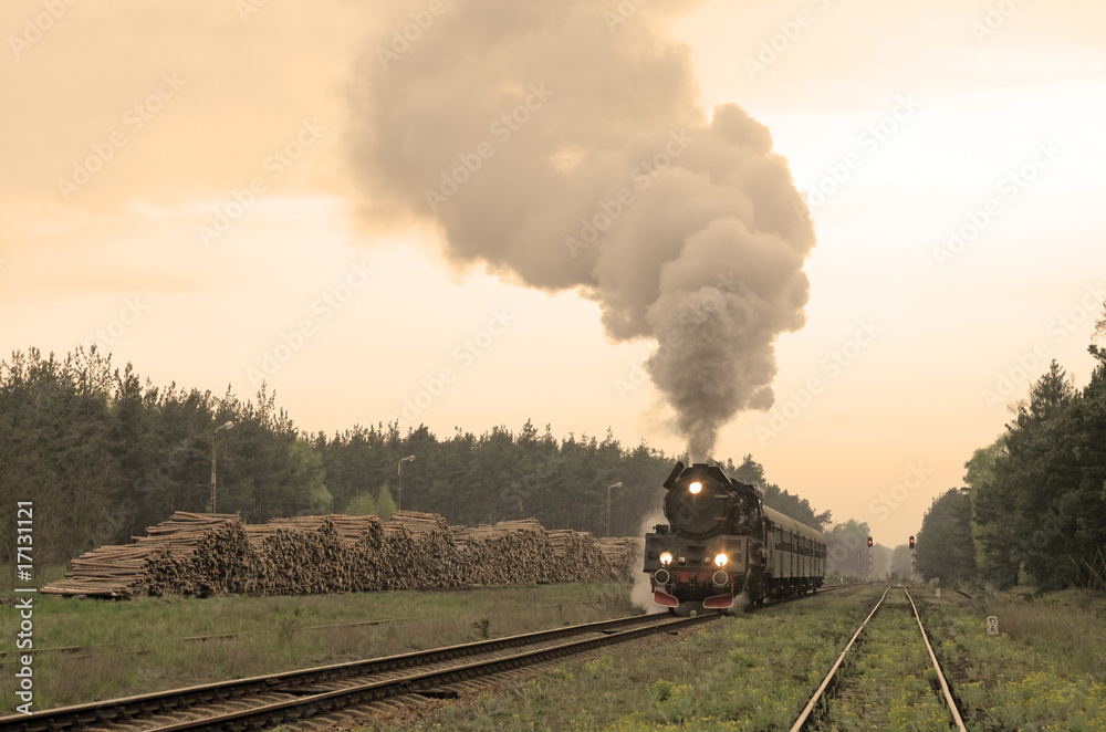 Steam retro train passing the woods