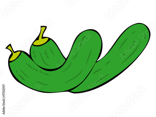 Zucchini
