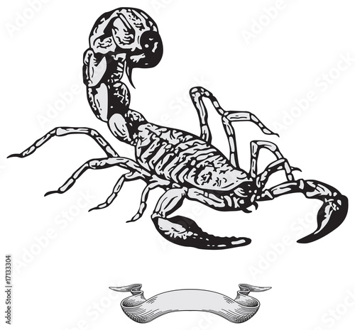 Scorpion vector
