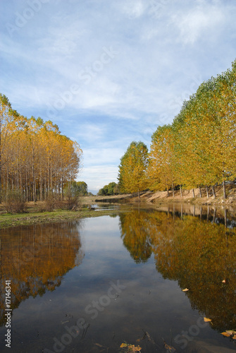 rio en otoño