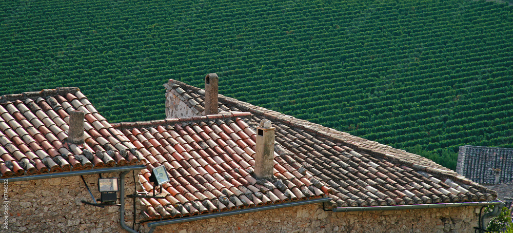 vignes et toits en tuiles d'un village