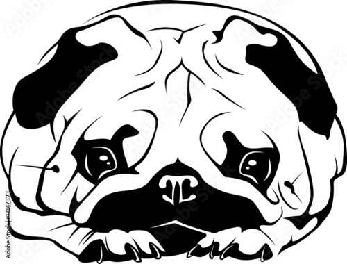 Sleeping Pug 04