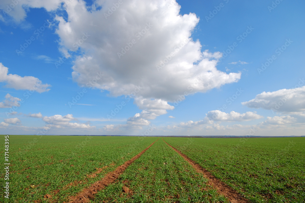 Yorkshire farmland