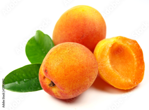 Fresh apricot fruit