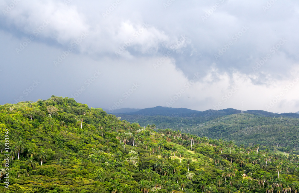 Naklejka premium Hills covered with exuberant green vegetation