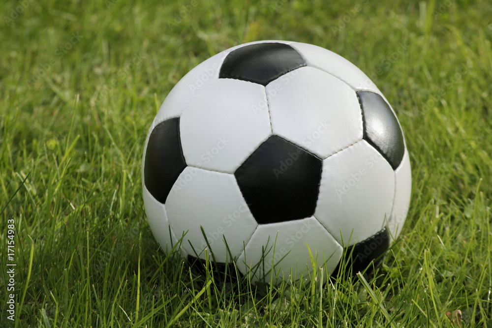 soccer ball on grass