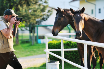 photographer and horse