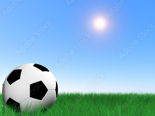 Soccer ball on grass © TROR_kh
