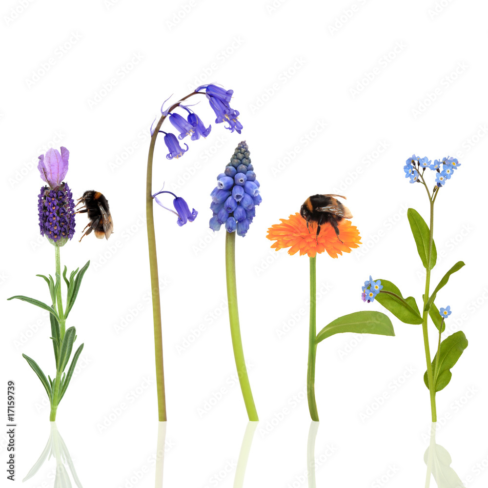 Naklejka premium Bumble Bees and Flowers