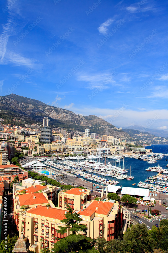 Aerial view of Monte-Carlo Monaco
