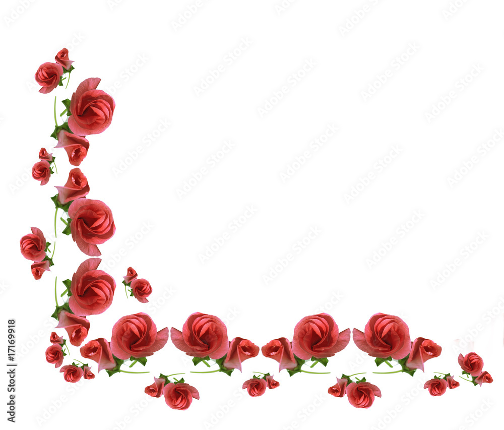 Element framework consists from pink flower. Element framework consists from pink flower.