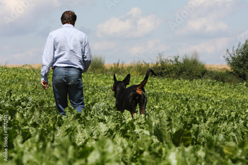 dobermann et son maître heureux de dos à la campagne © Dogs