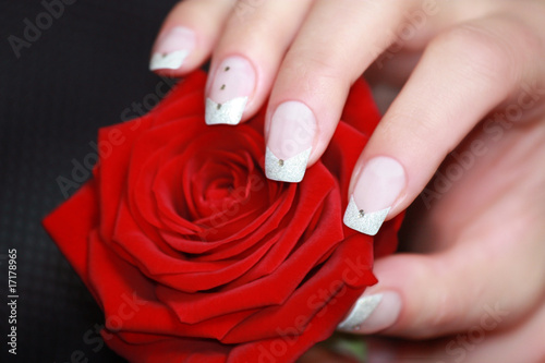 pretty french nails on a red rose