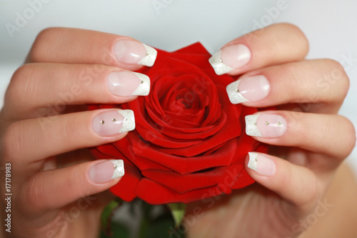 beautiful naildesign on a red rose