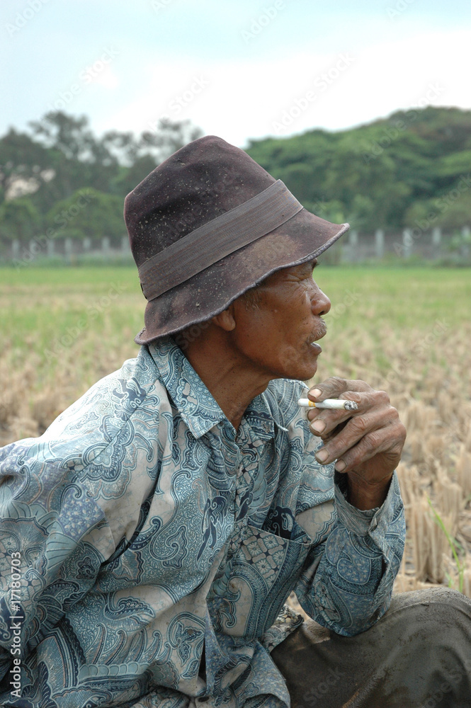 old farmer old farmer