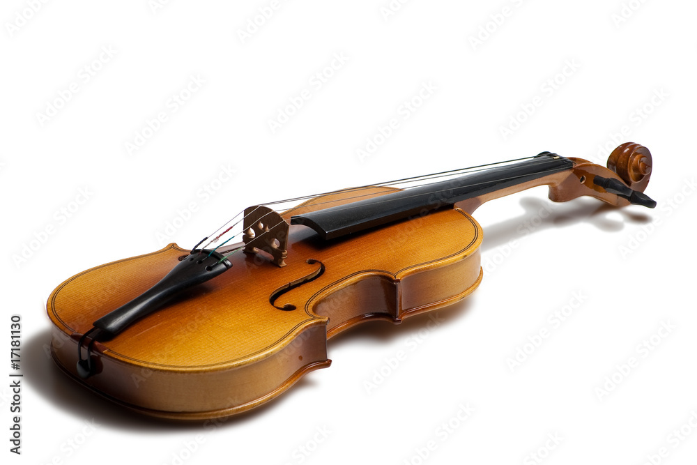 Obraz premium Violon