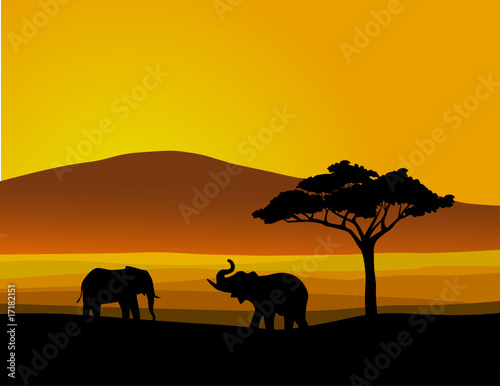 Landscape of wildlife Africa