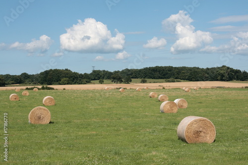 Ballot de paille,Allier photo