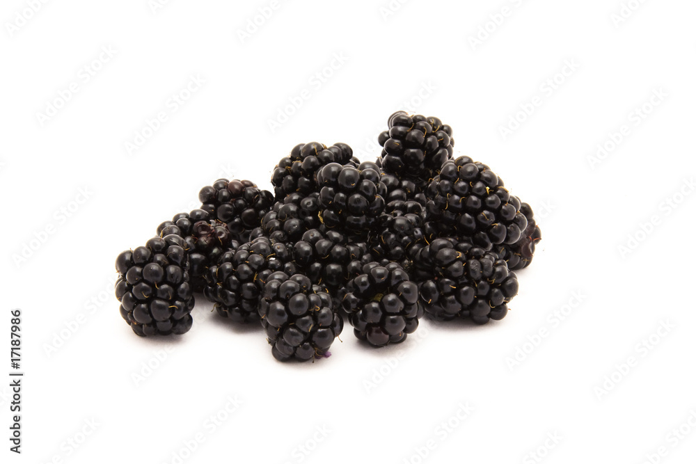 Blackberry on a white background Blackberry on a white background