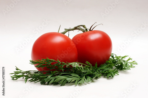 rote tomaten photo