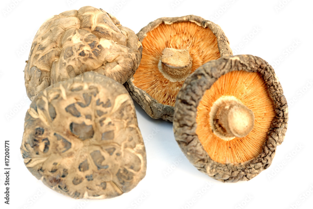 champignons secs champignons secs