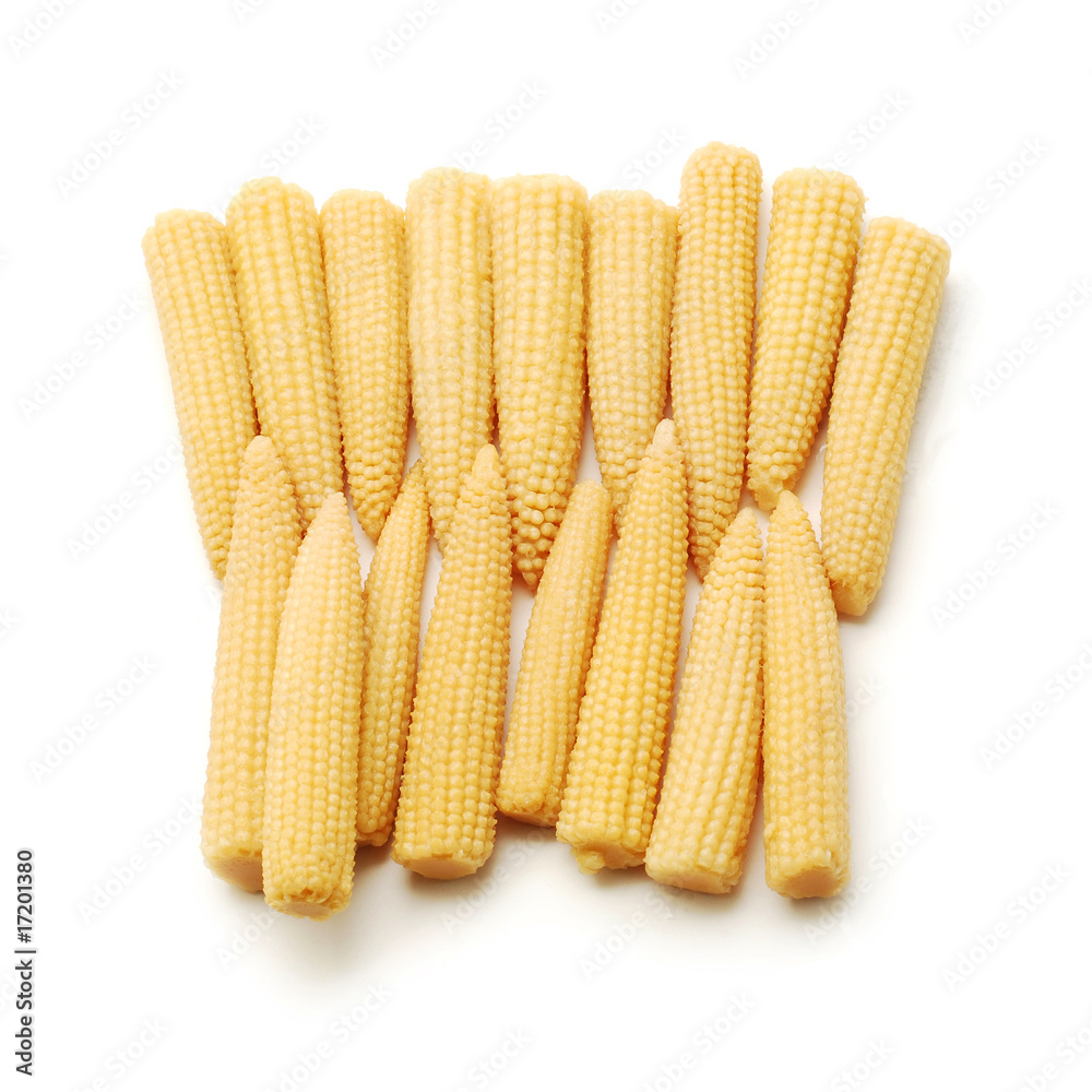 baby corn cobs isolated baby corn cobs isolated