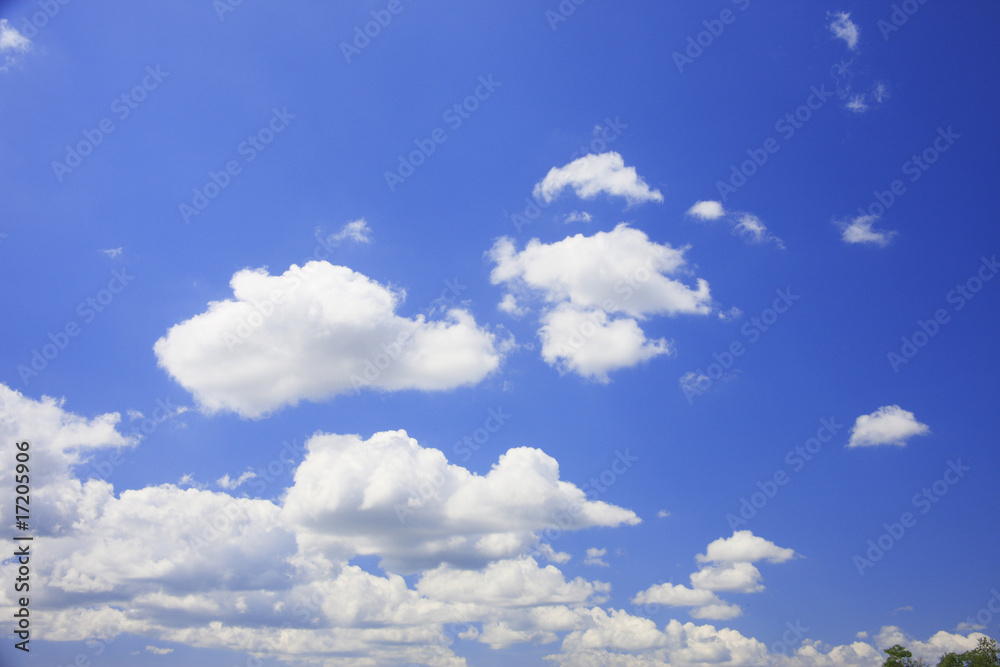 Obraz premium 青空と白い雲