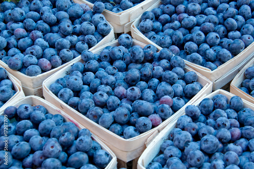 Blueberrie in Baskets