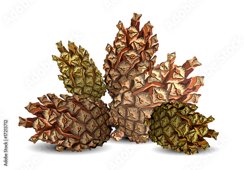 Hill of cones