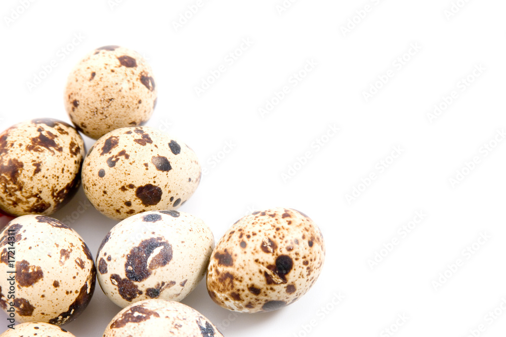 Quail eggs Quail eggs