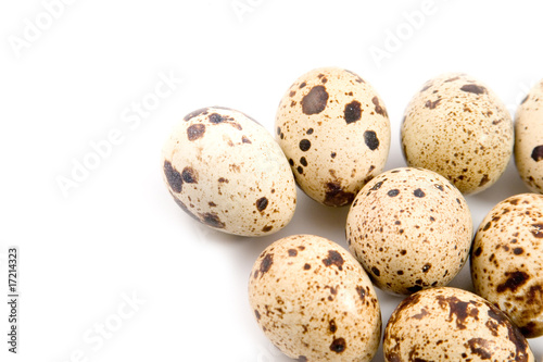 Quail eggs