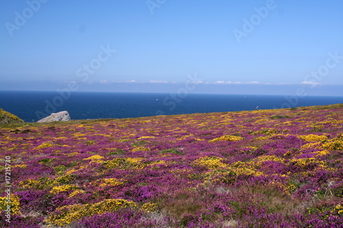 C  te sauvage Bretagne