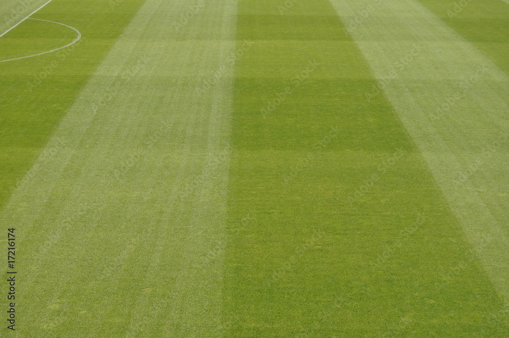 Fototapeta premium Fussball Spielfeld