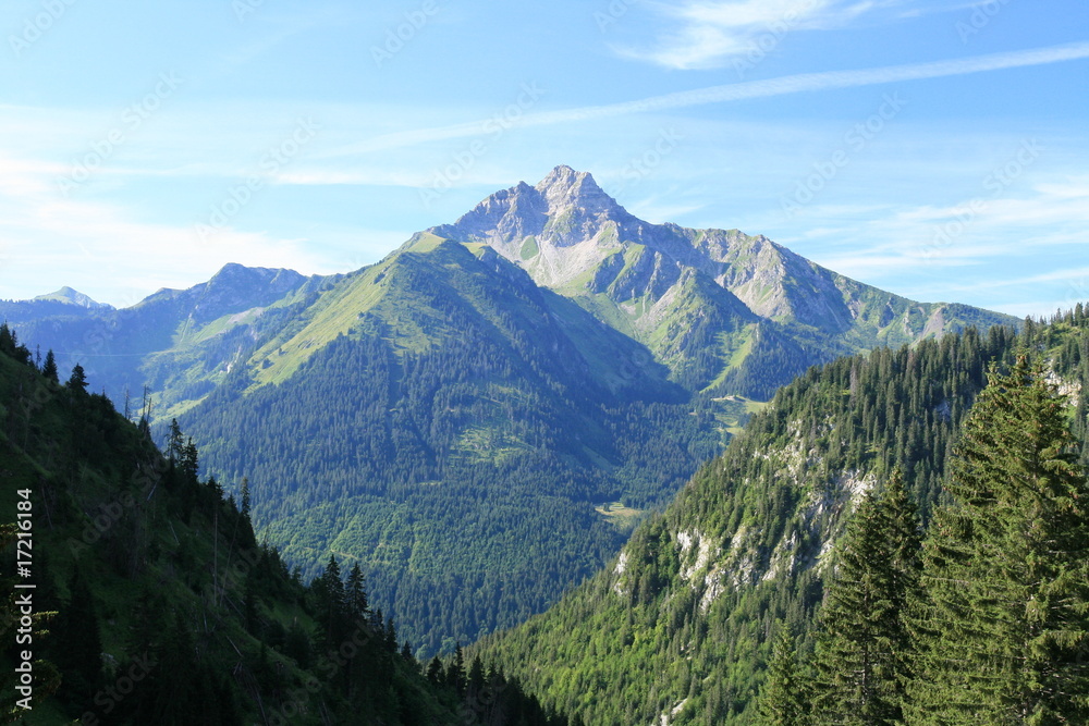 Mont de Grange (alt 2432 m)