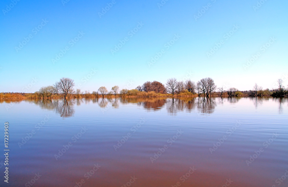 Fototapeta premium flood in wood