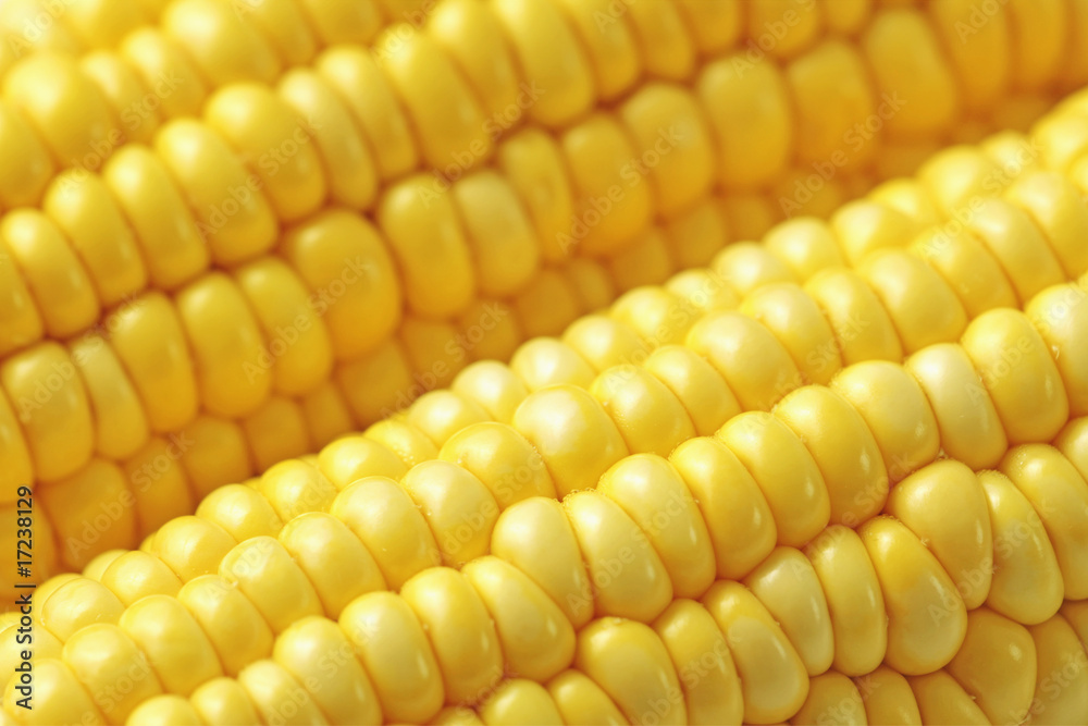 corn macro corn macro