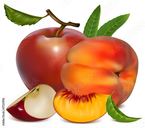 Vector illustration. Ripe peach and apple.