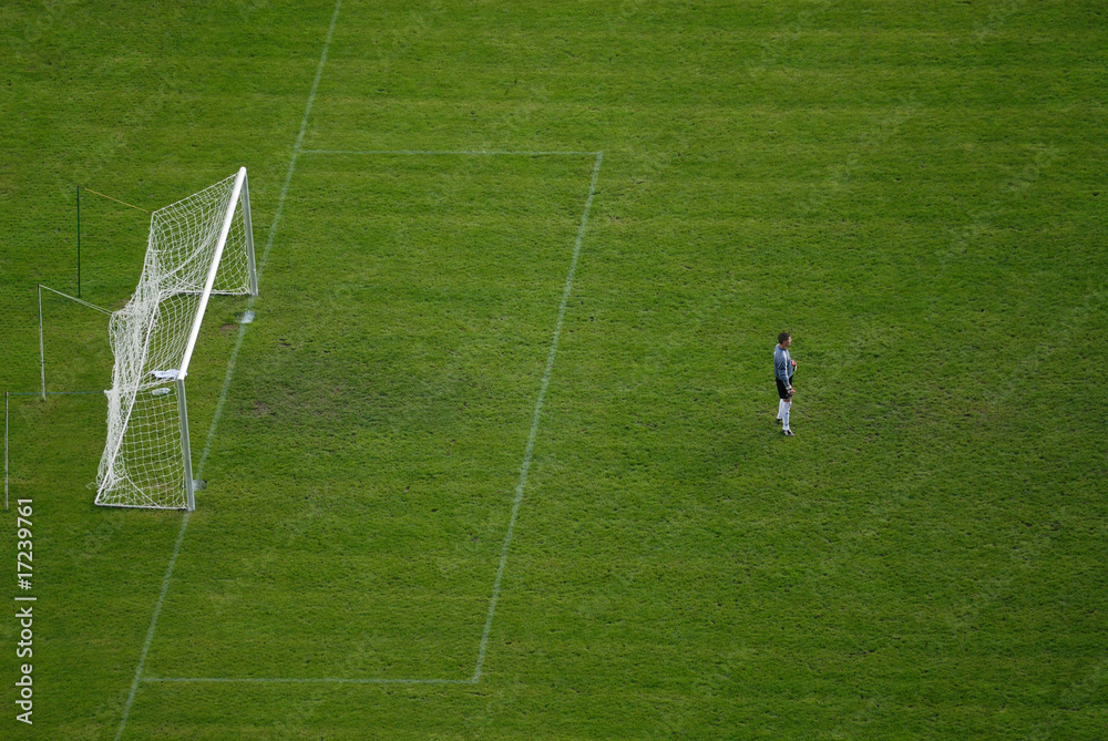 Fototapeta premium goal de foot