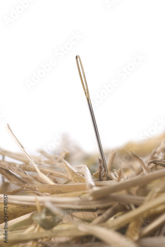 Needle In A Haystack