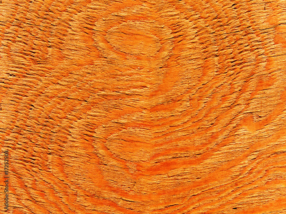 Fototapeta premium Textures tree oak