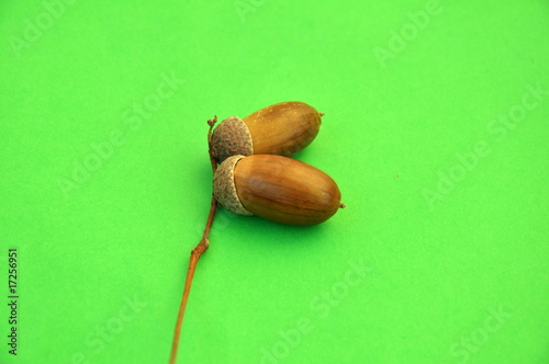 Nuts on the green backgrounds