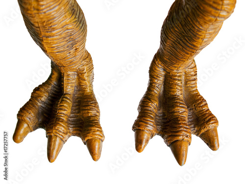 Monster foot photo