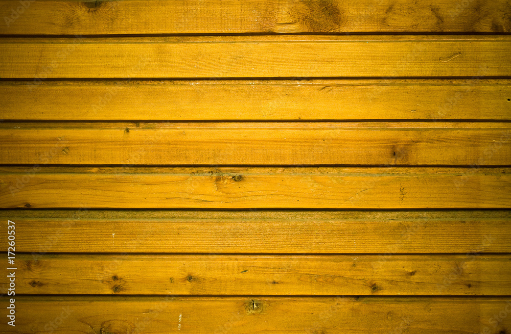 Fototapeta premium Wood Texture