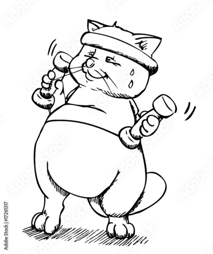 Katze, Kater, Fit, Sport, Training, Hanteln