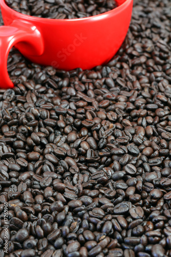 Coffee Cup and Beans