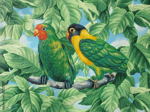 Canvas Print two painted parrots