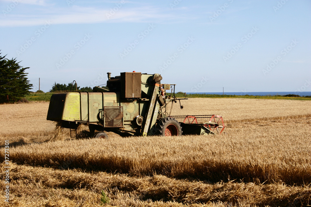 Obraz premium moissonneuse-batteuse_4909