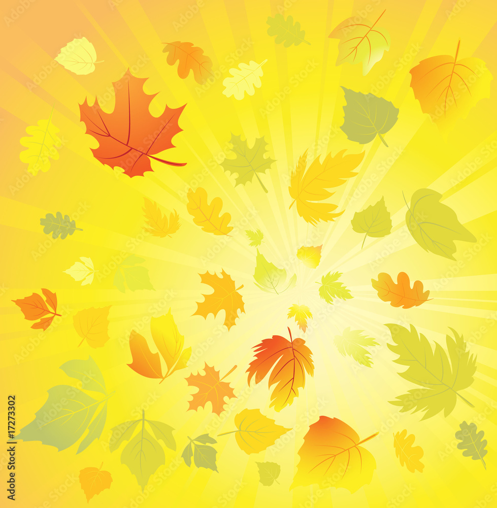 Autumn leaves design elements Autumn leaves design elements