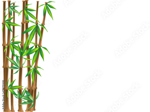 Brown bamboo