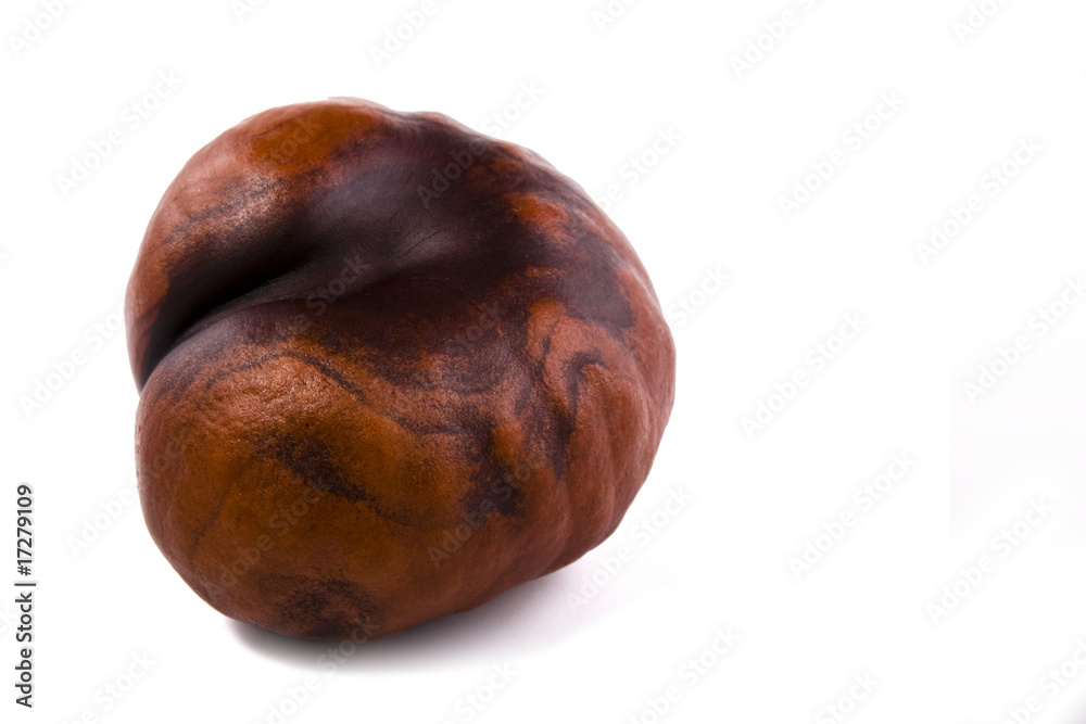 Kastanienherz Kastanienherz